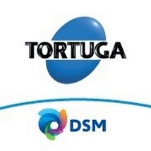 TORTUGA/DSM